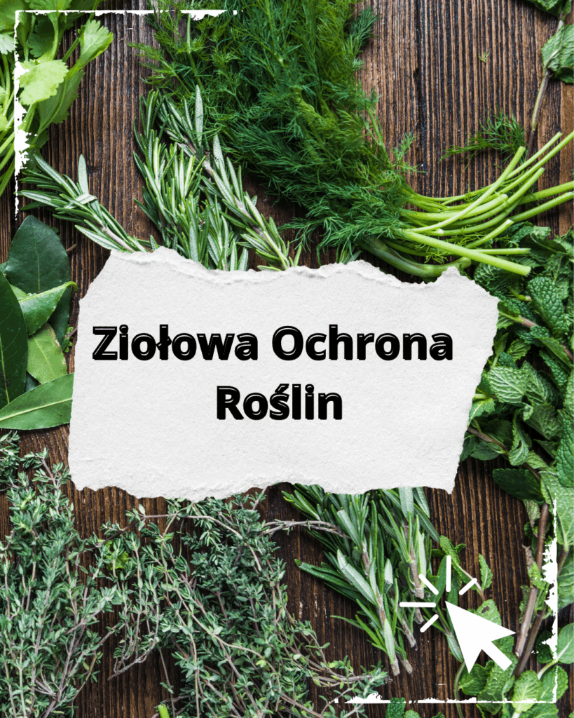 ziołowa ochrona roślin link
