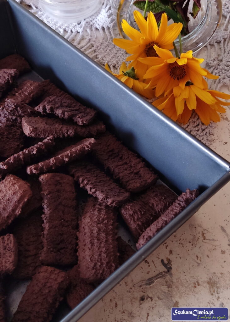 wegańskie kruche ciasteczka z maszynki