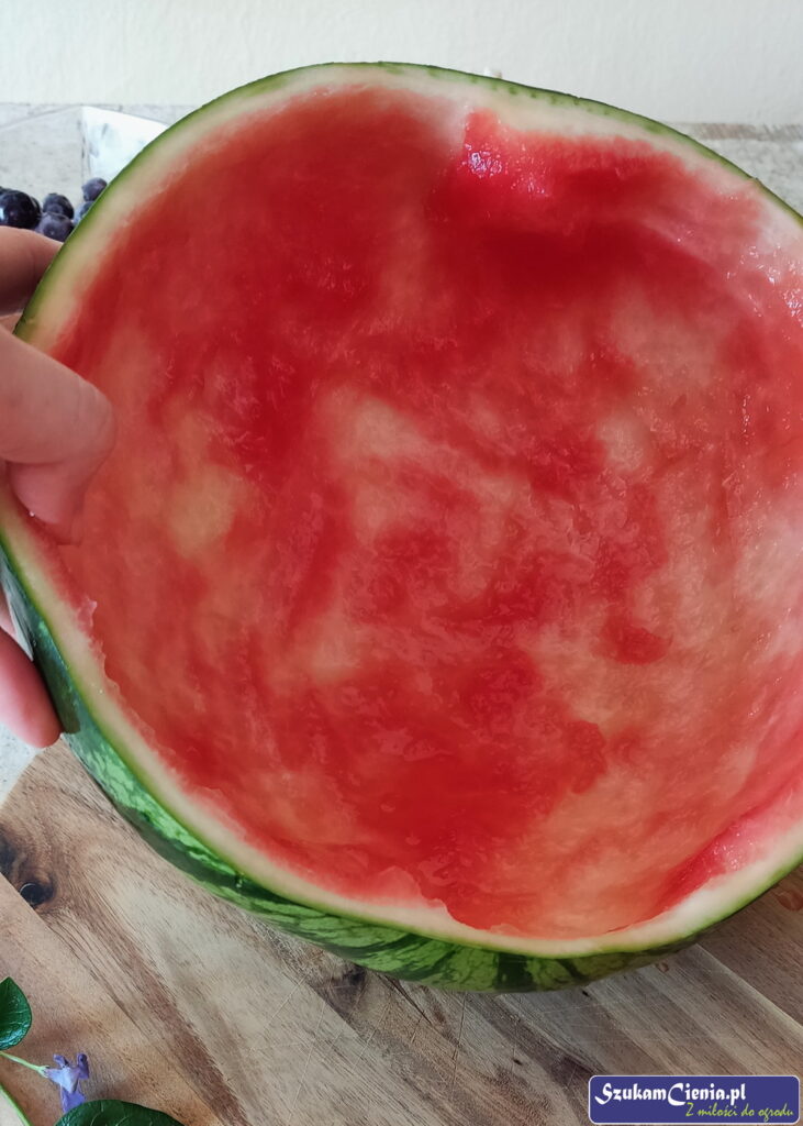 skórka z arbuza