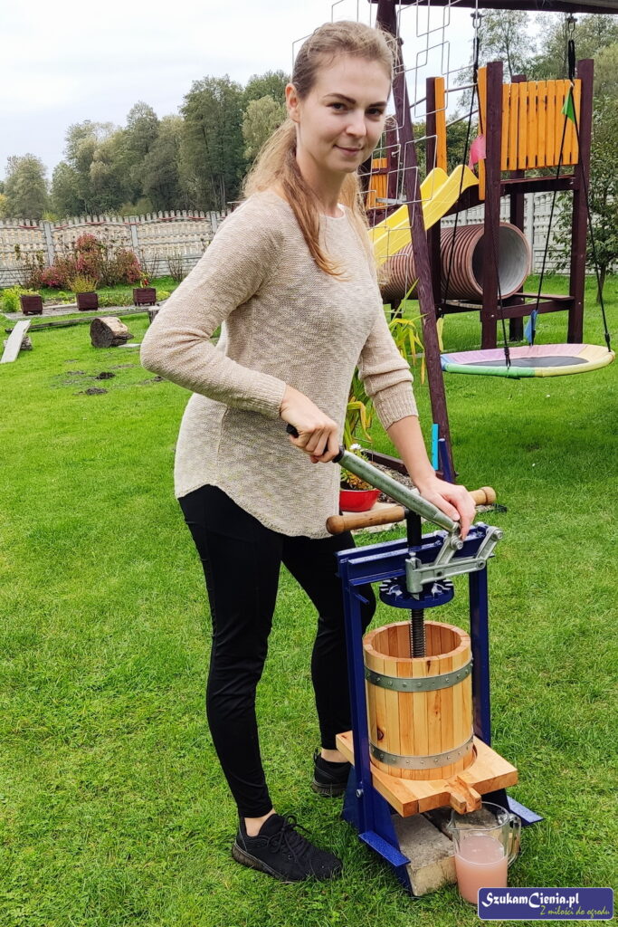 wyciskam sok z winogron w odremontowanej prasie