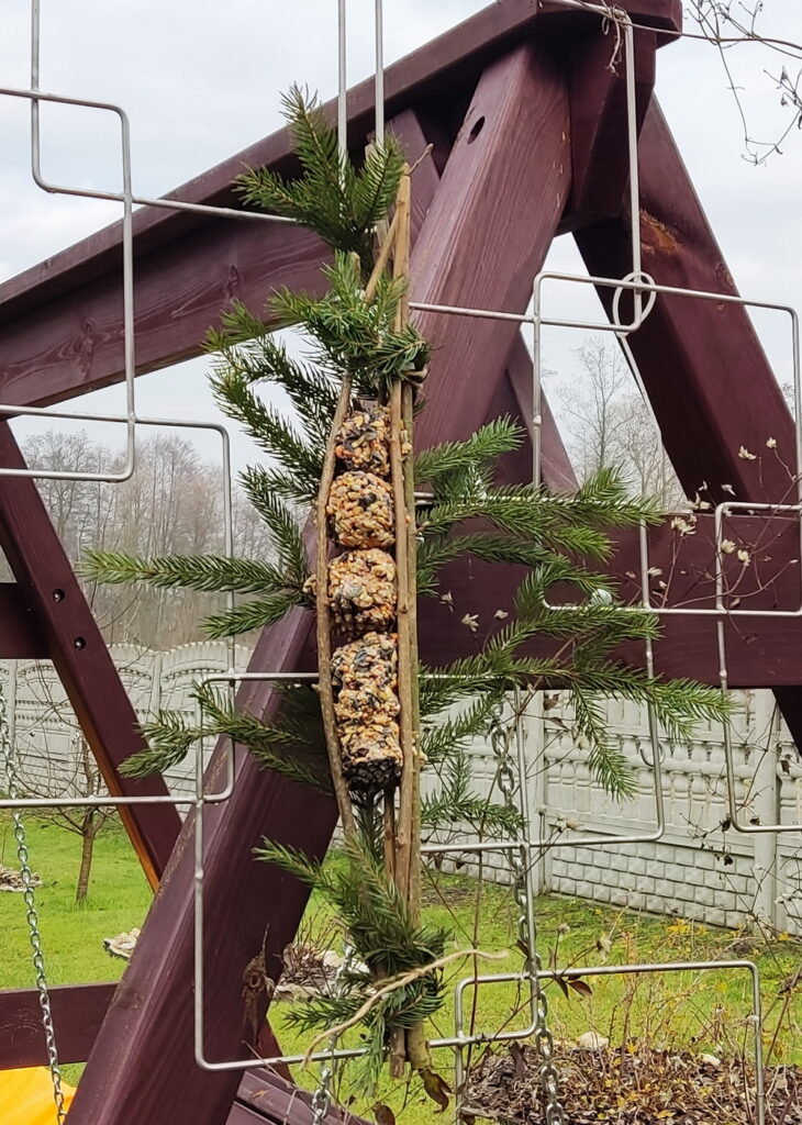 karmnik z szyszkami zawieszony na pergoli