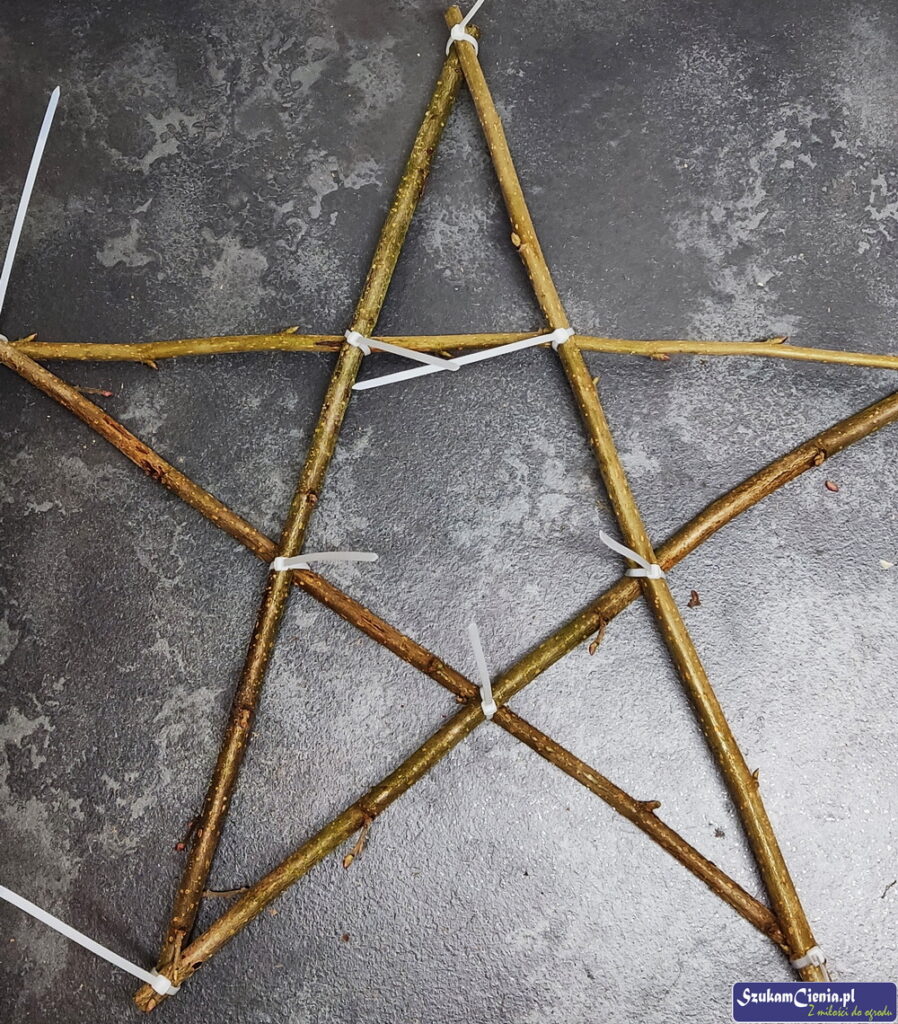 spięte gałęzie leszczyny. ułożone w kształt gwiazdy