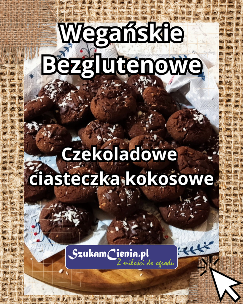 wegańskie ciasteczka