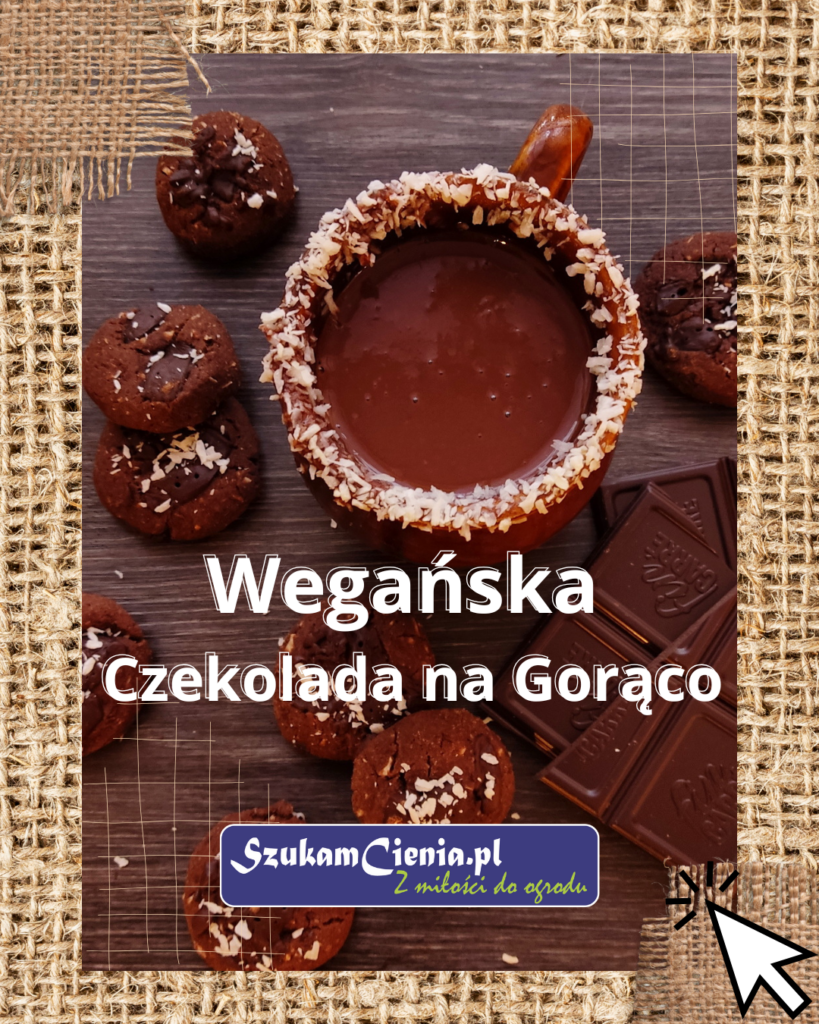 czekolada na gorąco