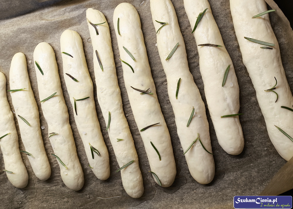 paluchy chlebowe wyrośnięte