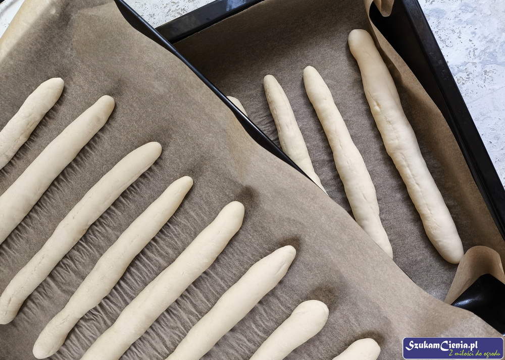 paluchy przed wyrośnięciem