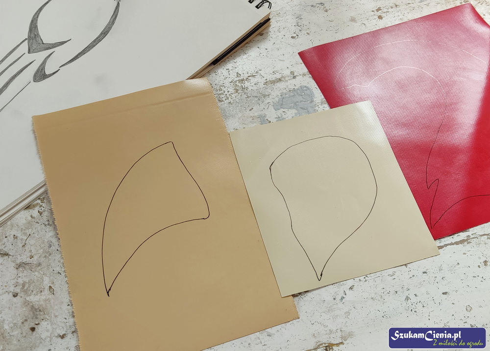 narysowane części papugi