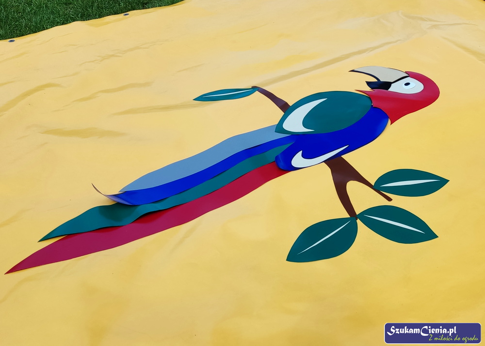 ułożona papuga na plandece