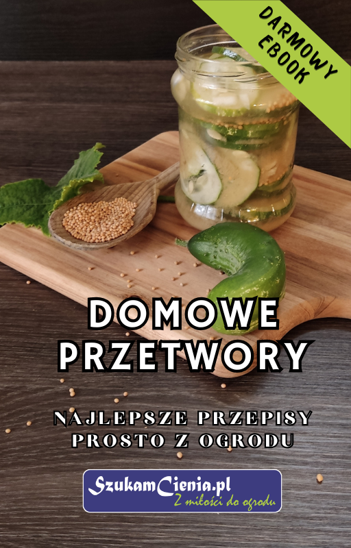  darmowy ebook domowe przetwory