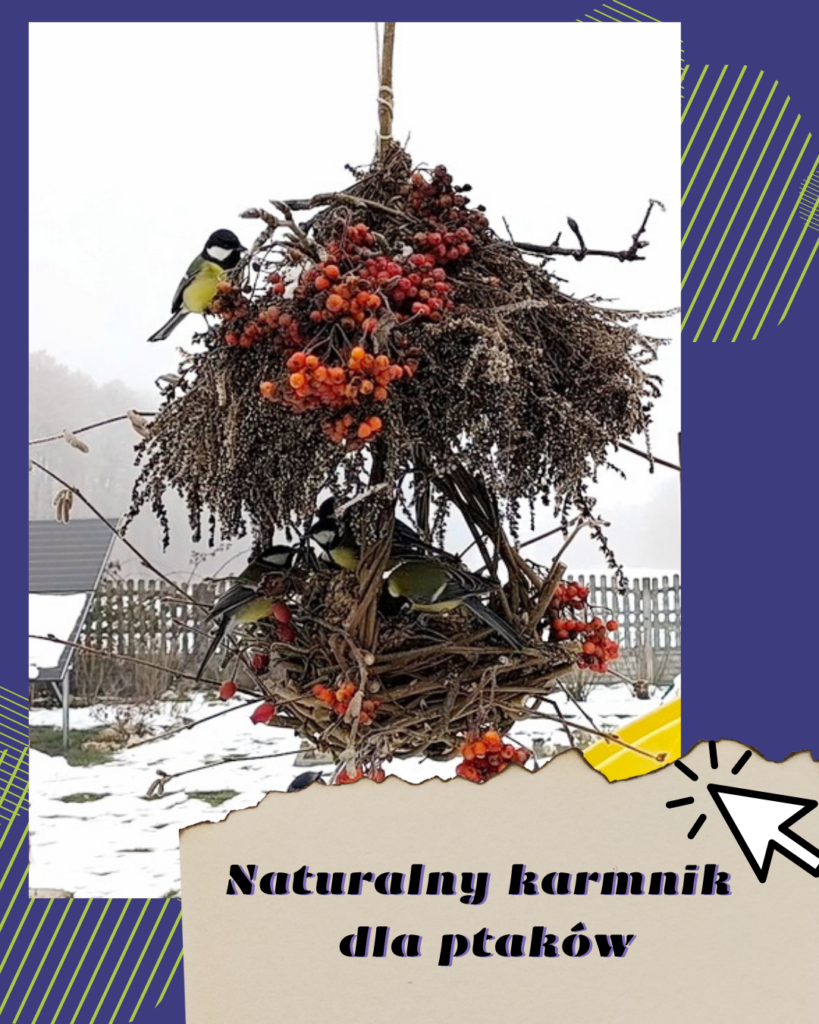 karmnik dla ptaków