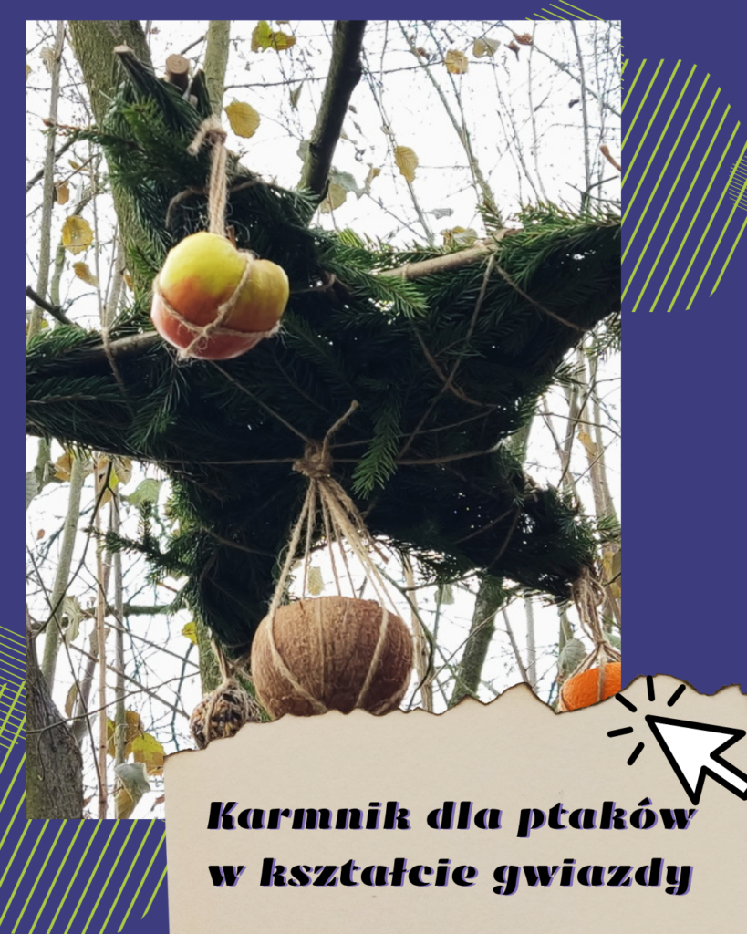 karmnik dla ptaków