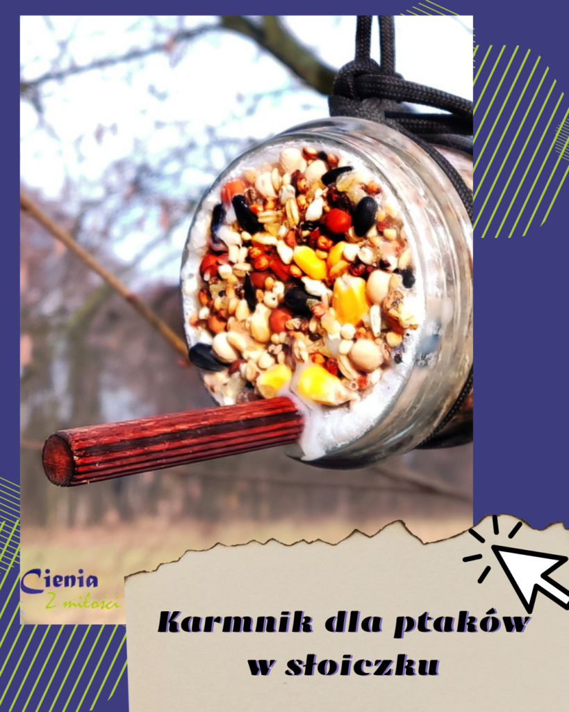 karmnik dla ptaków w słoiczku
