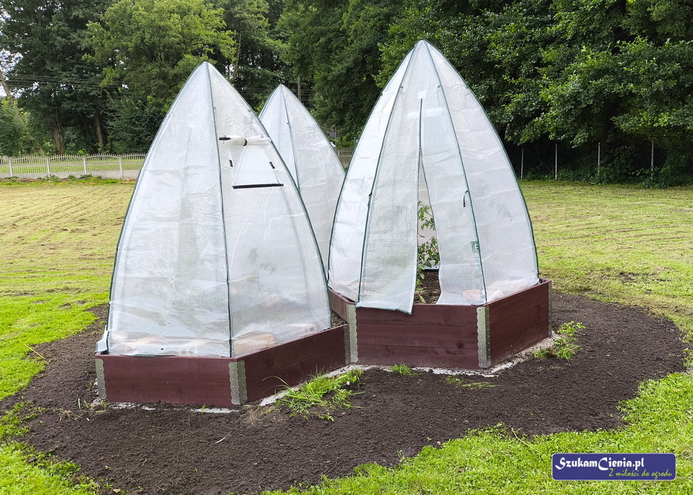 grządki podwyższone