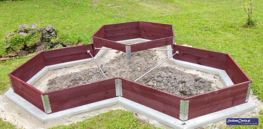 podwyższona grządka w kształcie plastra miodu