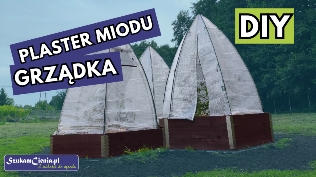 podwyższona grządka w kształcie plastra miodu