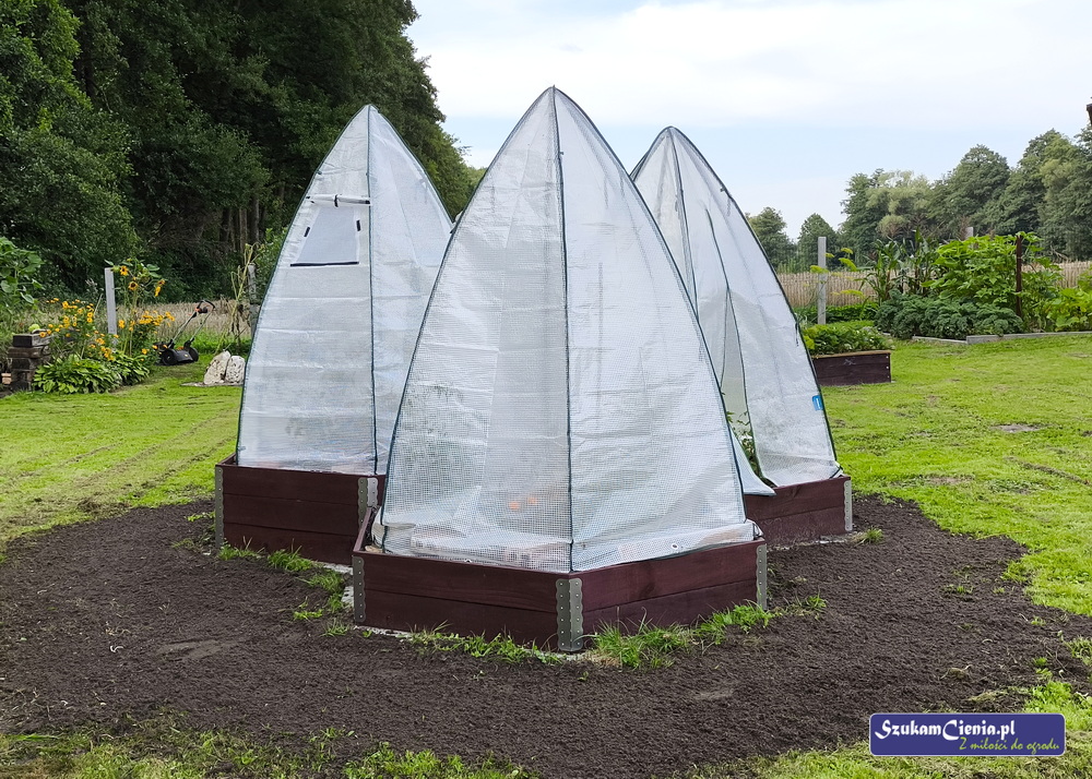 podwyższona grządka