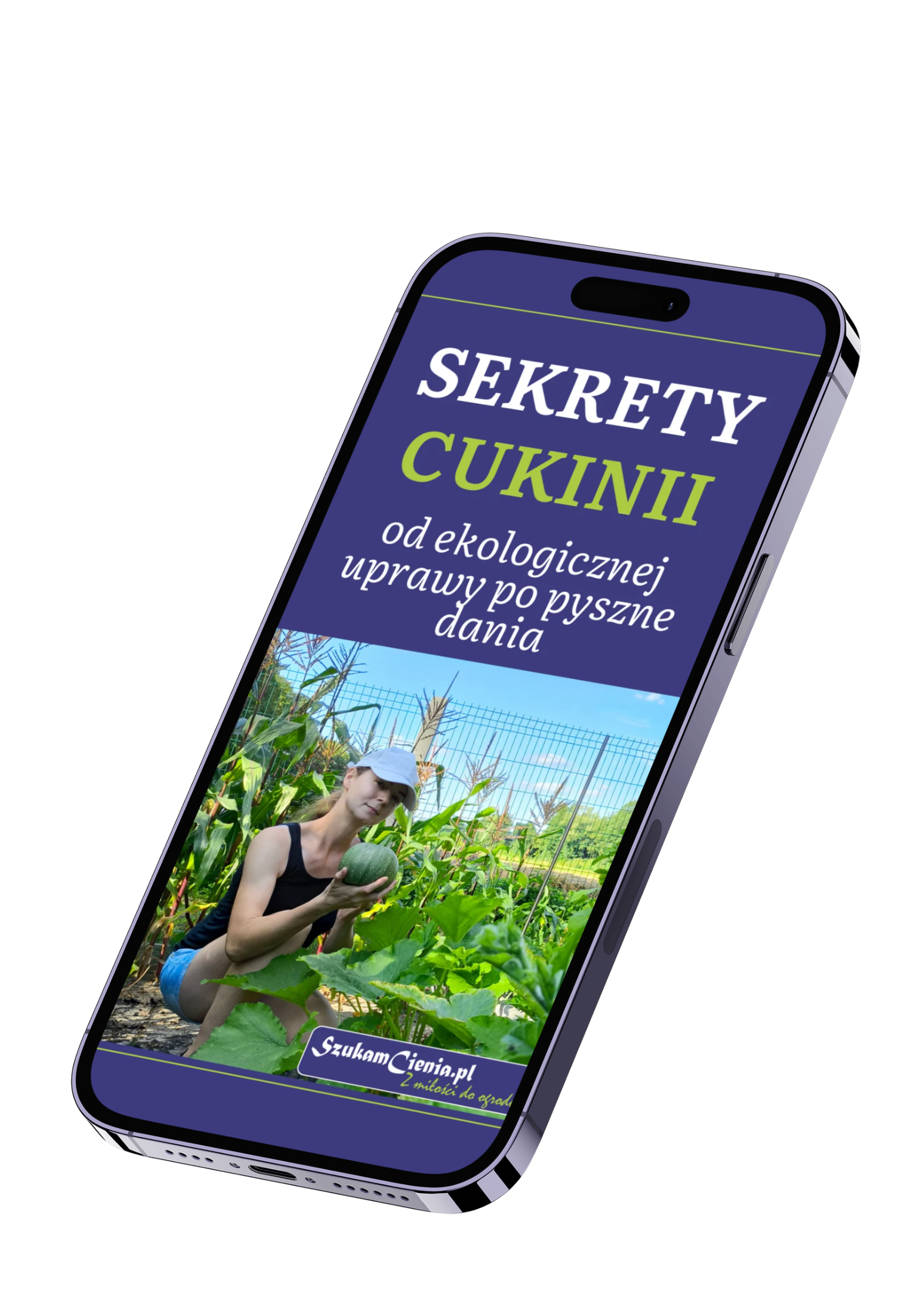 poradnik produkty cyfrowe ebook o uprawie cukinii