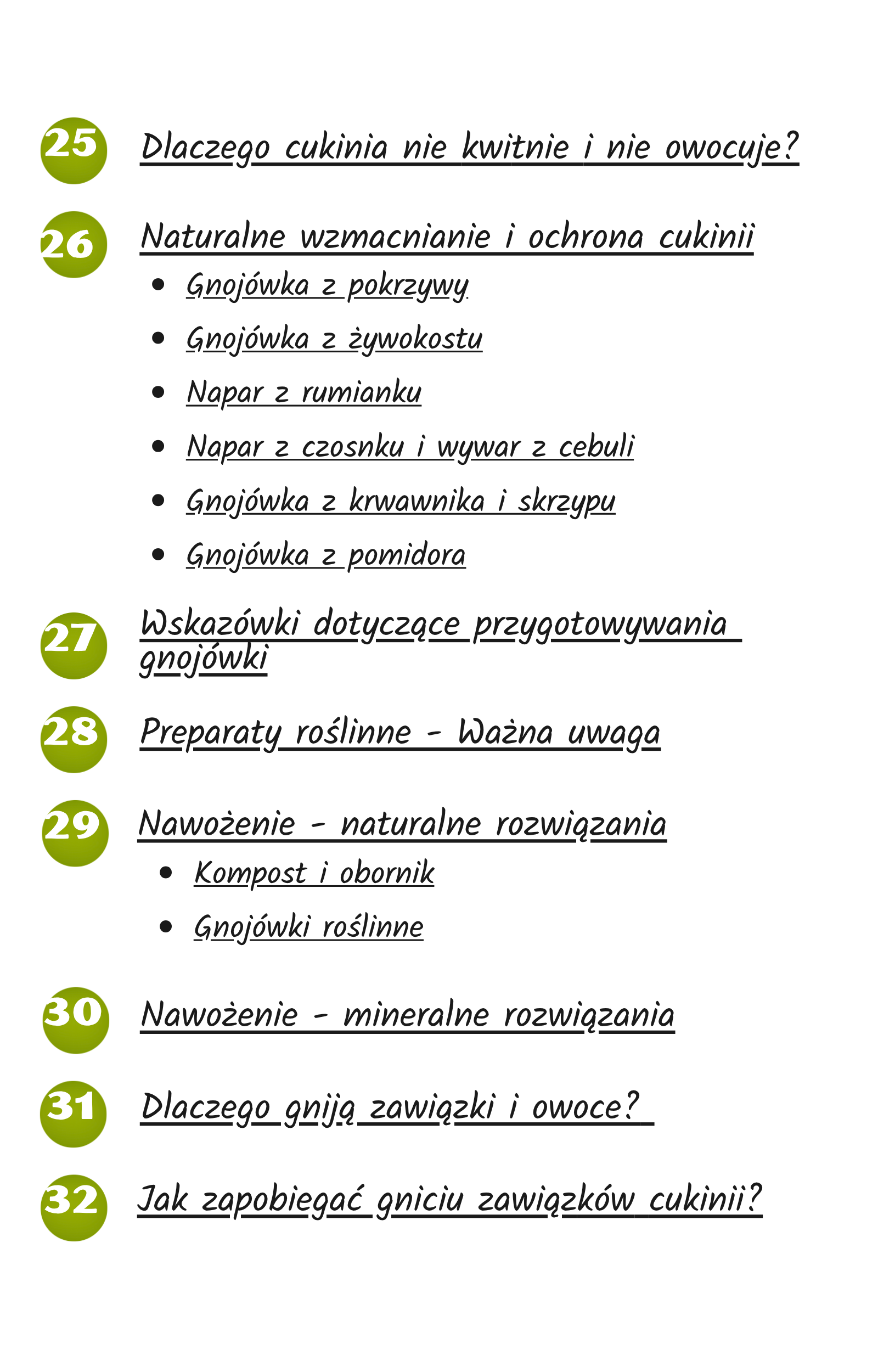 spis treści
