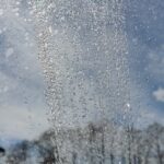 Podlewanie roślin – jak ograniczyć straty zużycia wody, a tym samym hodować zdrowe rośliny?