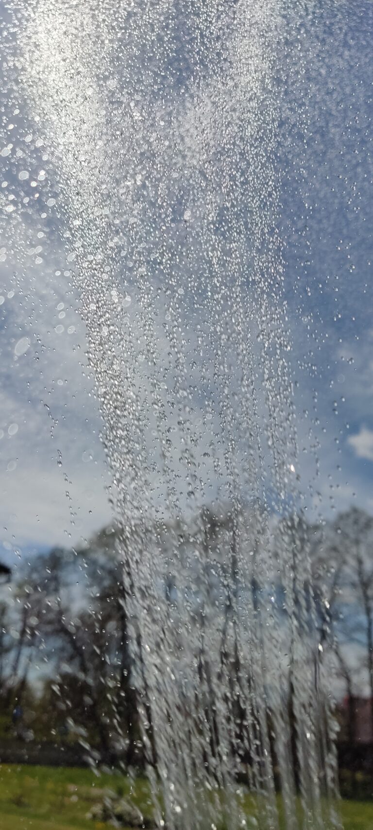 Podlewanie roślin – jak ograniczyć straty zużycia wody, a tym samym hodować zdrowe rośliny?