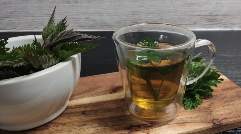 Pokrzywa dla zdrowia – czyli jak przyrządzić zdrowotny sok, napar i syrop z pokrzywy?