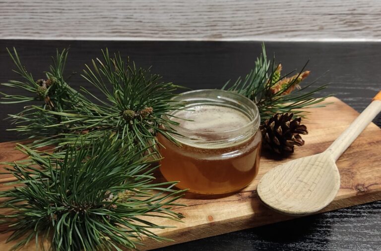 Gotowany syrop z pędów sosny z pomarańczą – pomocny w uporczywym kaszlu