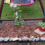 Robię rabatę z powojnikiem przy huśtawce.