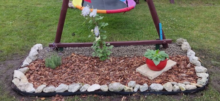 Robię rabatę z powojnikiem przy huśtawce.