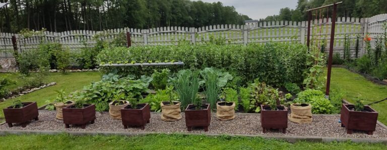 Ciekawe rozwiązania w moim warzywniku.