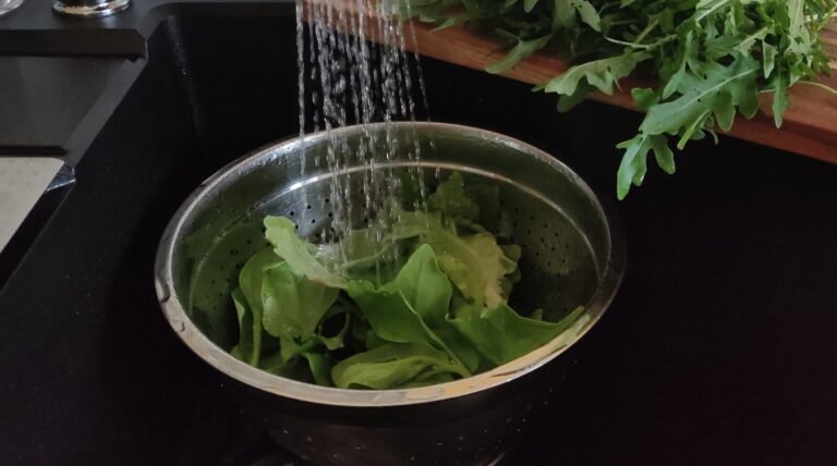 Moje czerwcowe zbiory z warzywnika