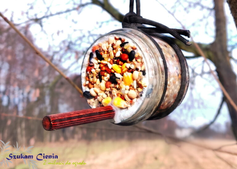 Ptasie bistro: Prosty i efektowny pomysł na karmienie ptaków.