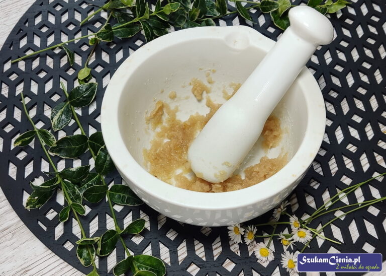 Magia konfitury z płatków róży: Poznaj kulinarne inspiracje !