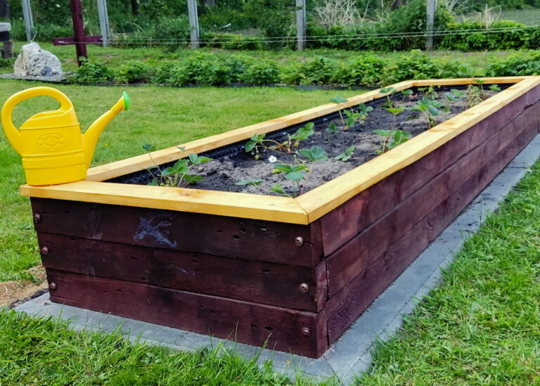 Odzyskane skarby: Jak zbudować podwyższone grządki z materiałów po remoncie?