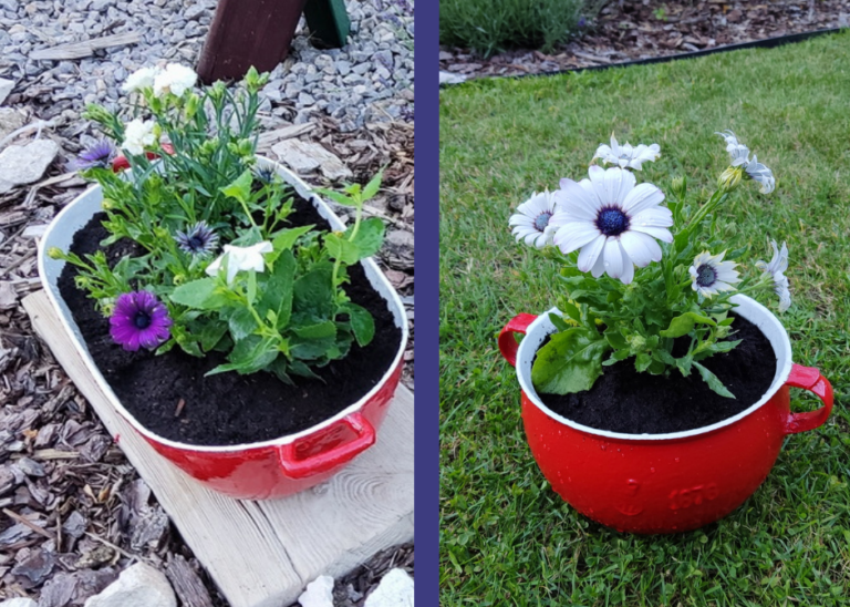 Od kuchni do ogrodu! Przekształć stare garnki w doniczki pełne kwiatów!