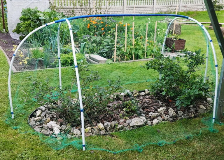 Moja autorska siatka ochronna –Skuteczna przeszkoda dla ptaków.