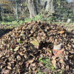 domek dla jeża okryty liśćmi