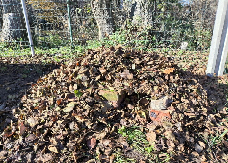 domek dla jeża okryty liśćmi