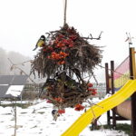 karmnik dla ptaków naturalny