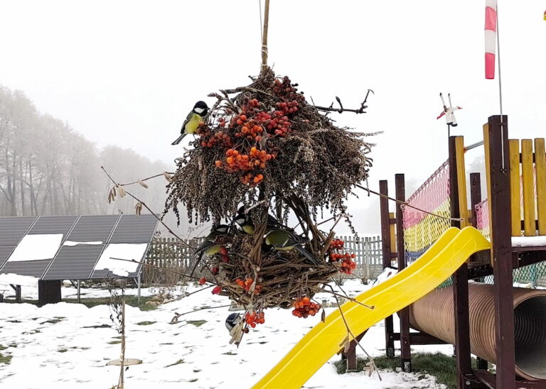 karmnik dla ptaków naturalny