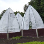 podwyższona grządka plaster miodu