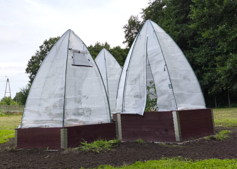 podwyższona grządka plaster miodu