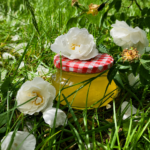 aromatyczny syrop z płatków dzikiej róży